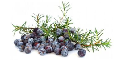 Juniper in Uromexil Forte